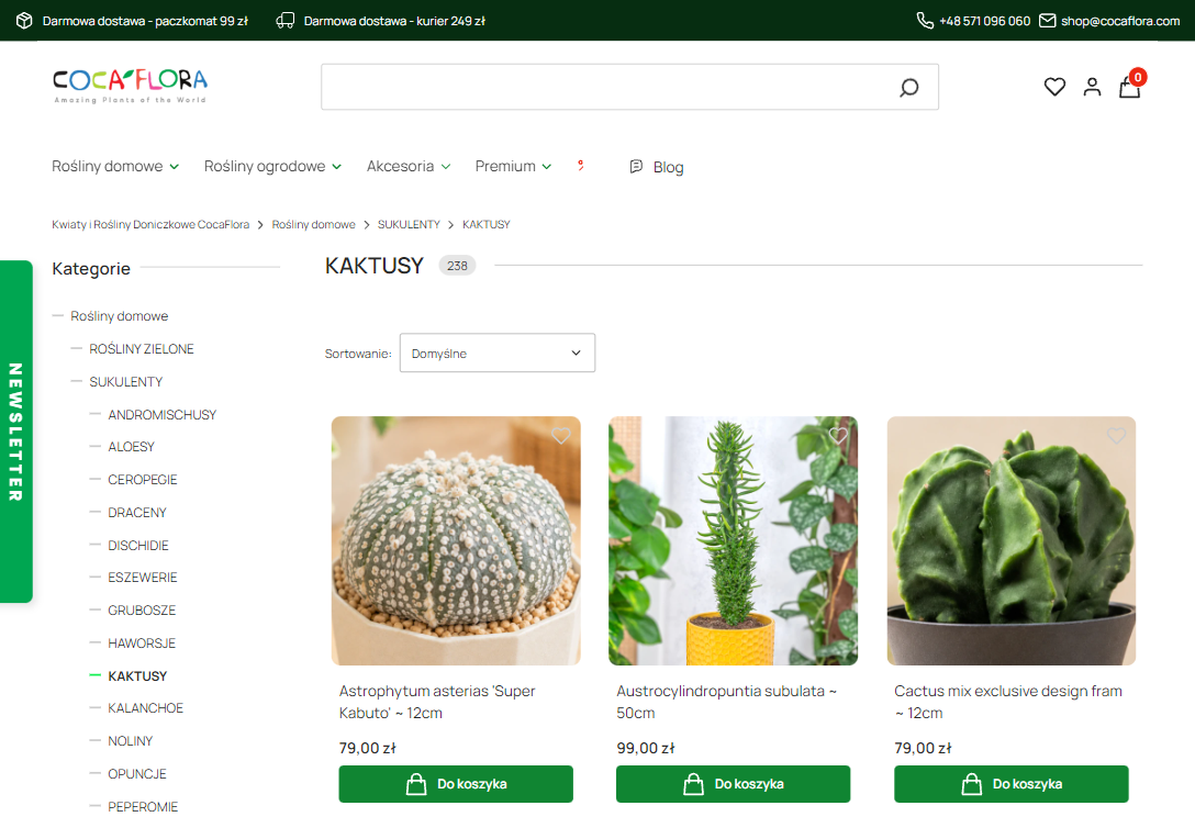 Jakie kaktusy wybrać na słoneczny parapet, a jakie do jaśniejszego pokoju?