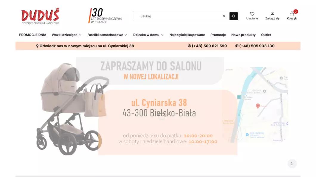 Zrzut ekranu strony